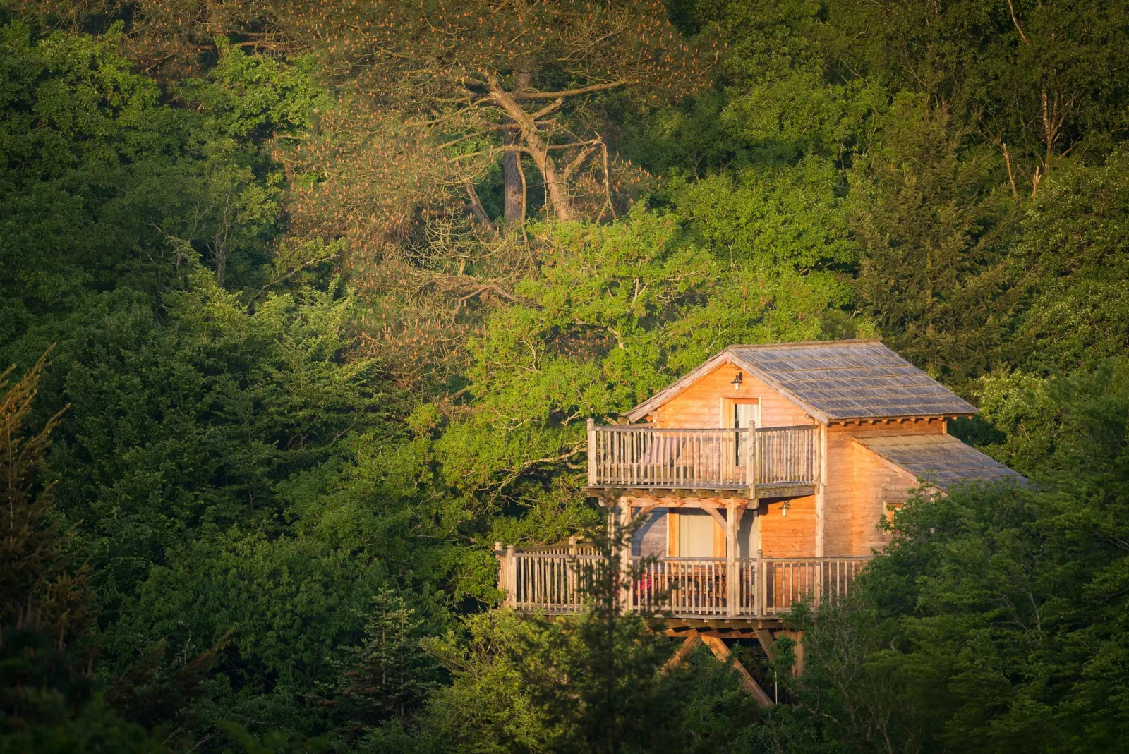 Cabane Canopée Lodge, cabane sur pilotis à Quistinic