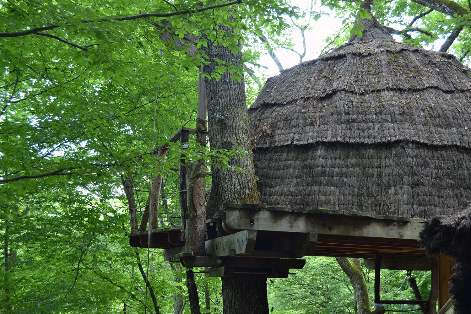 Cabane Canopée à Ranchot, photo 2