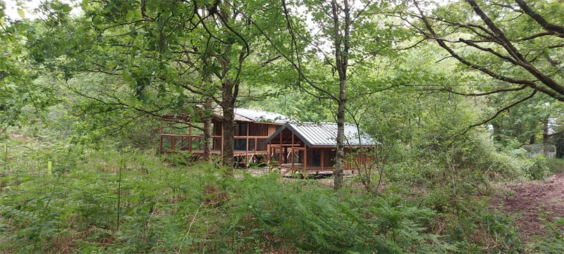 Cabane Cap Town, cabane sur pilotis à Saint-Pierre-des-Échaubrognes