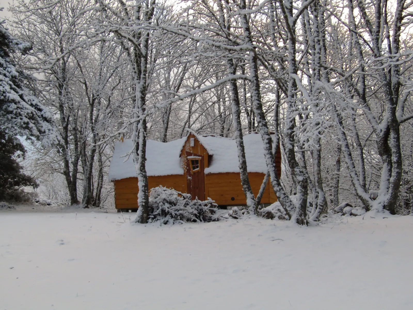 Cabane Carabosse, cabane au sol à Cros-de-Géorand