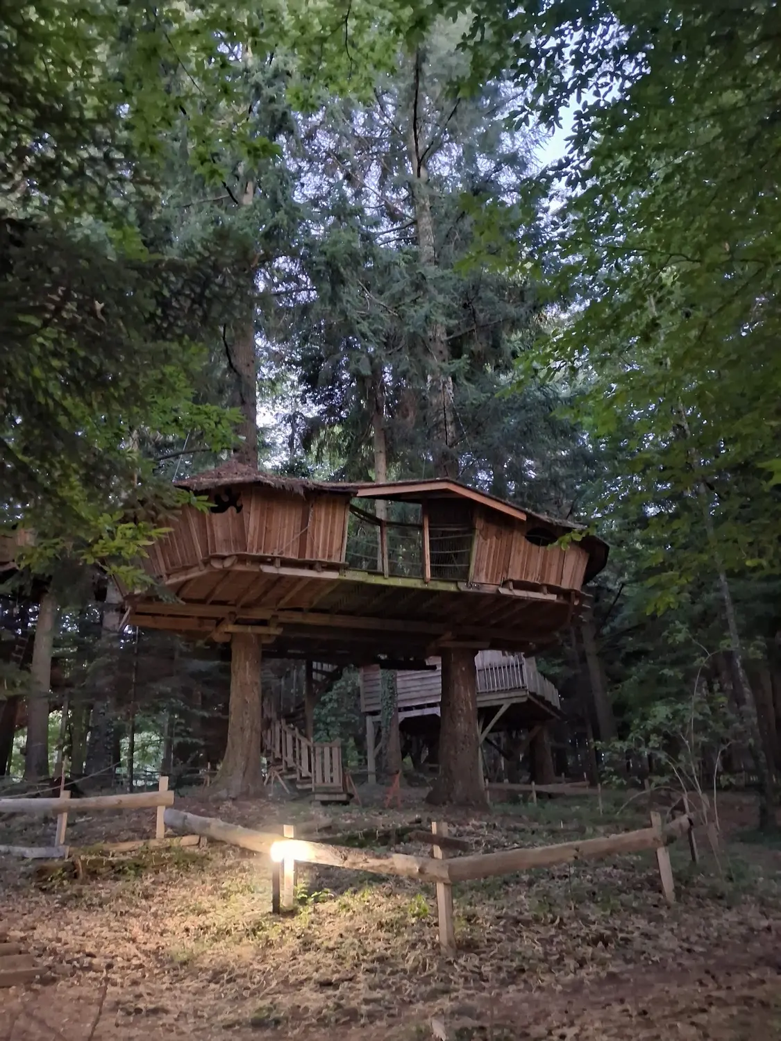 Cabane Castor, cabane dans les arbres à Belsentes