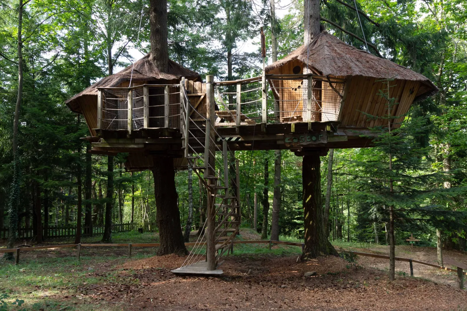 Cabane Castor à Belsentes, photo 4