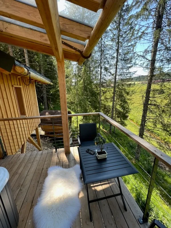 Cabane Cébriot à Petite-Chaux, photo 4