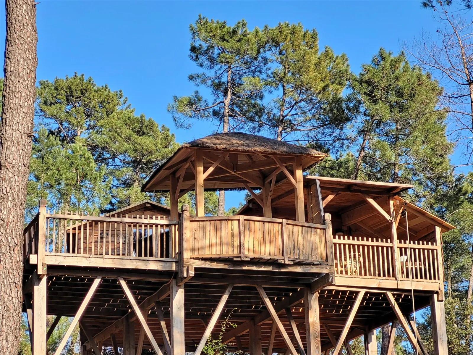 Cabane Céleste à Les Salelles, photo 2