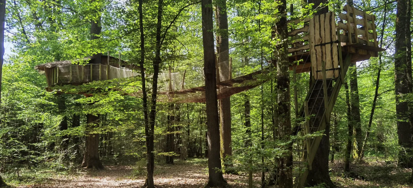 Cabane champignon, cabane dans les arbres à Giffaumont-Champaubert