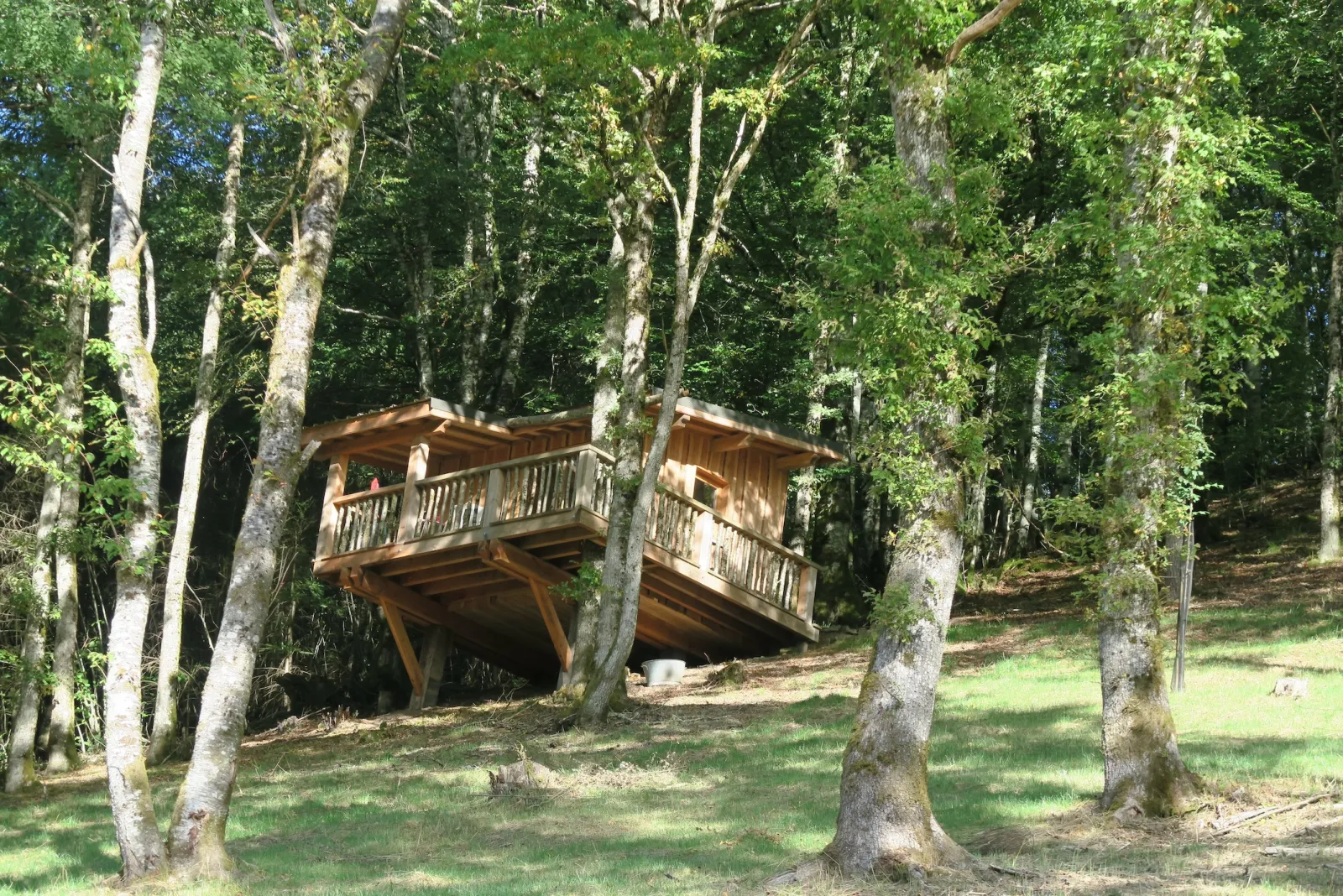 Cabane Châtaignier, cabane sur pilotis à Singles
