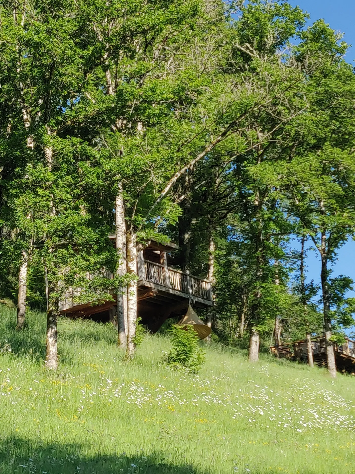 Cabane Châtaignier à Singles, photo 2