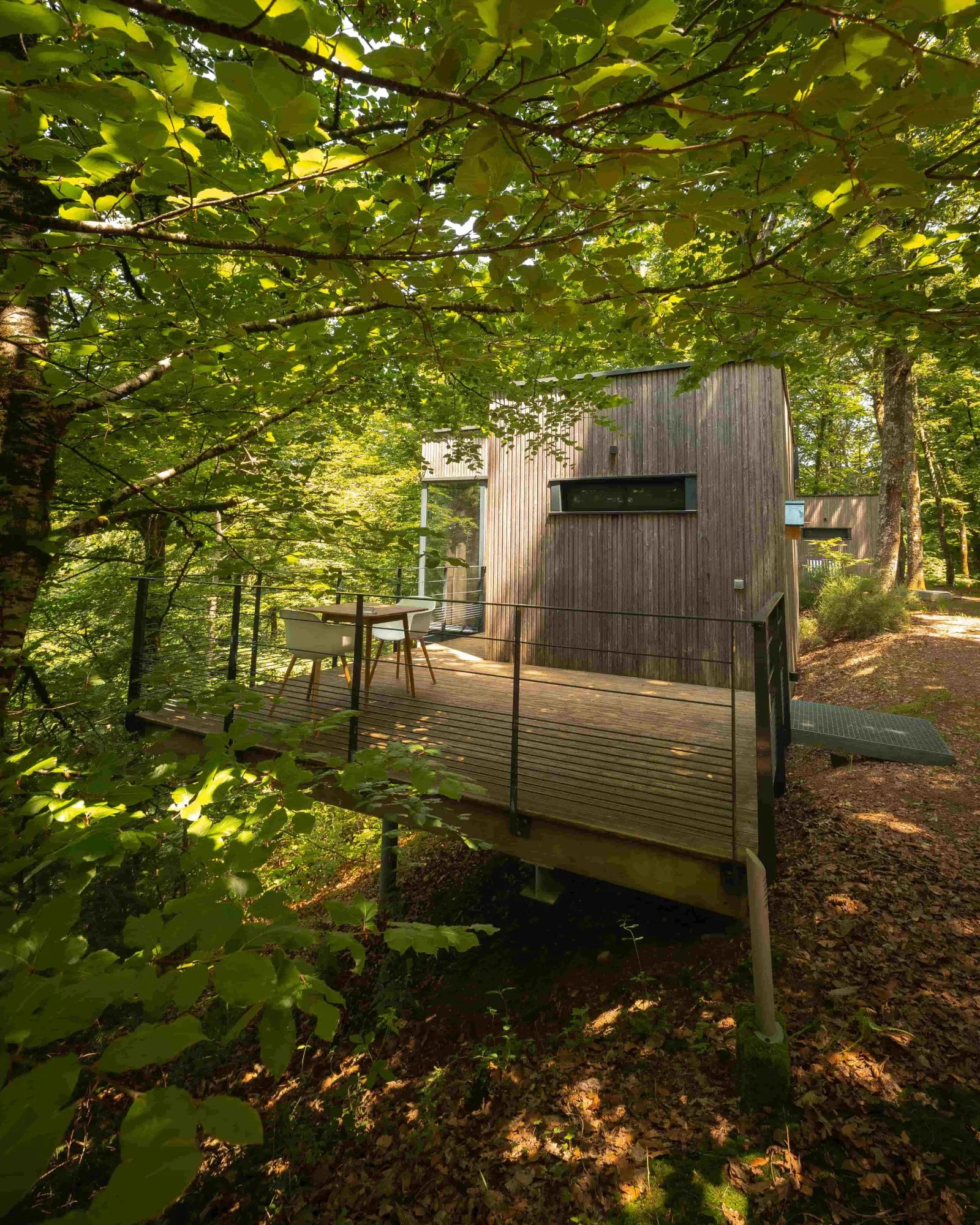 Cabane Chêne, cabane dans les arbres à Meyrignac-l'Église