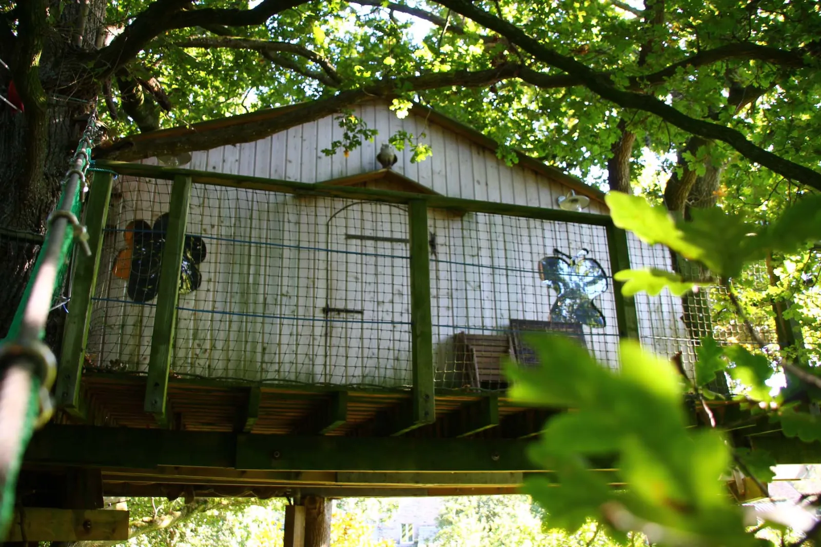 Cabane Chouette, cabane dans les arbres à Hénanbihen