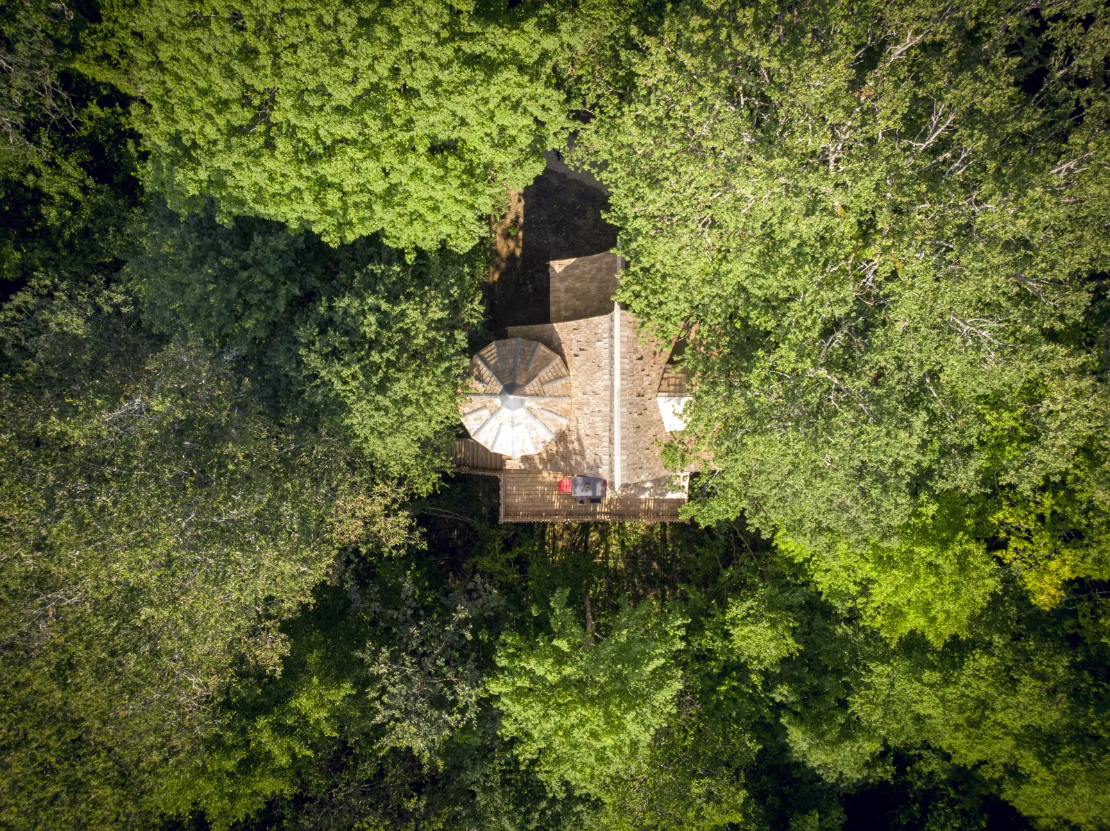 Cabane Cigogne noire, cabane dans les arbres à Vernois-lès-Vesvres