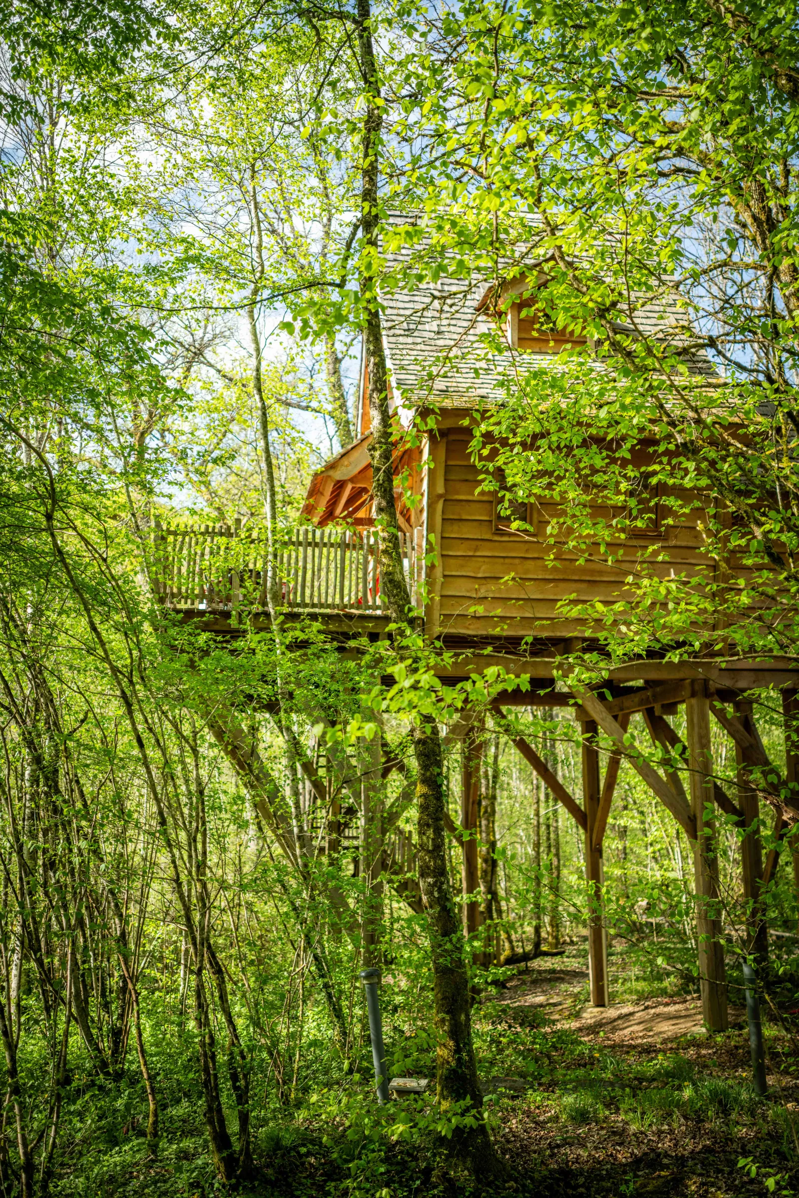 Cabane Cigogne noire à Vernois-lès-Vesvres, photo 5