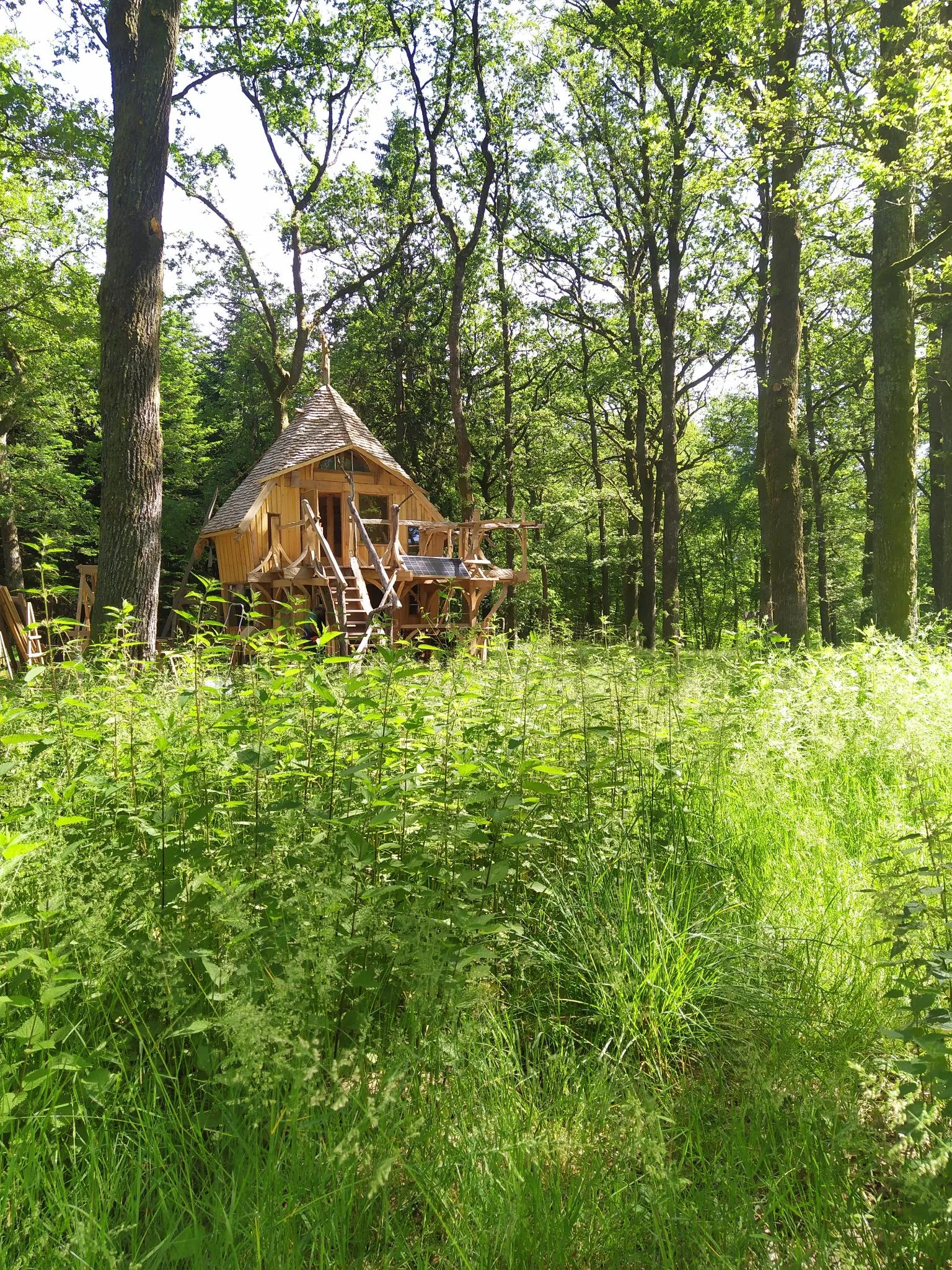 Cabane Cinderella, cabane au sol à Vittel