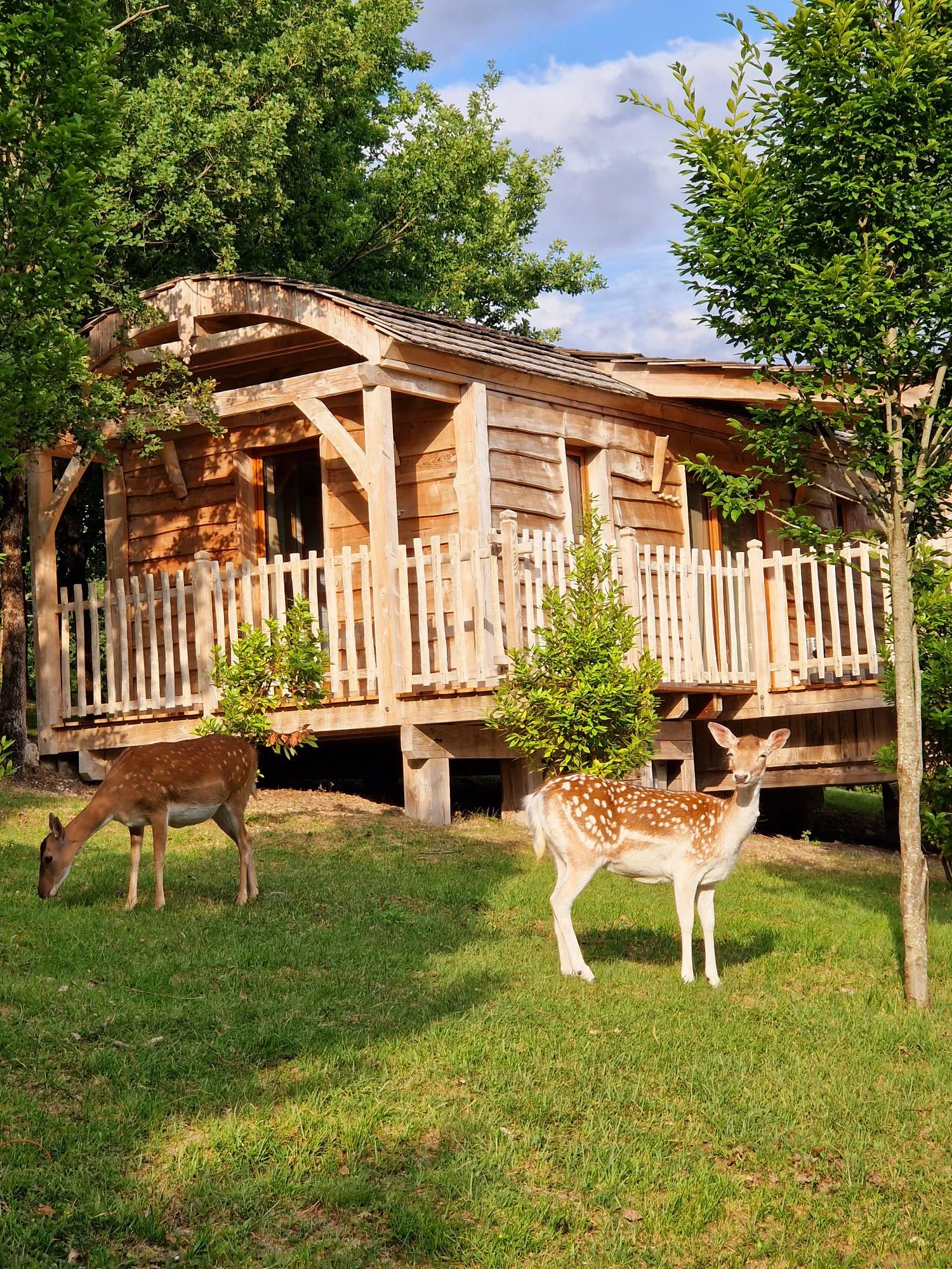 Cabane Ciné Rétro à Clairac, photo 2
