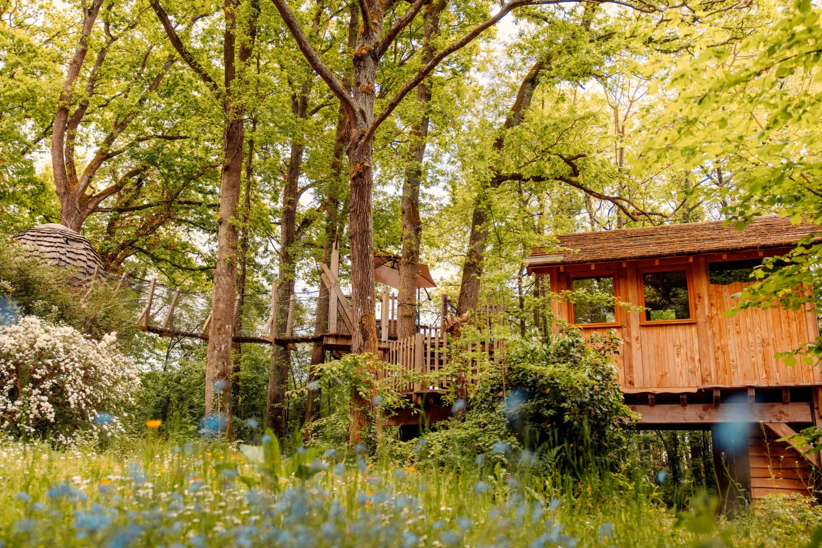 Cabane Cocoon Romantique à Rosoy-en-Multien, photo 5