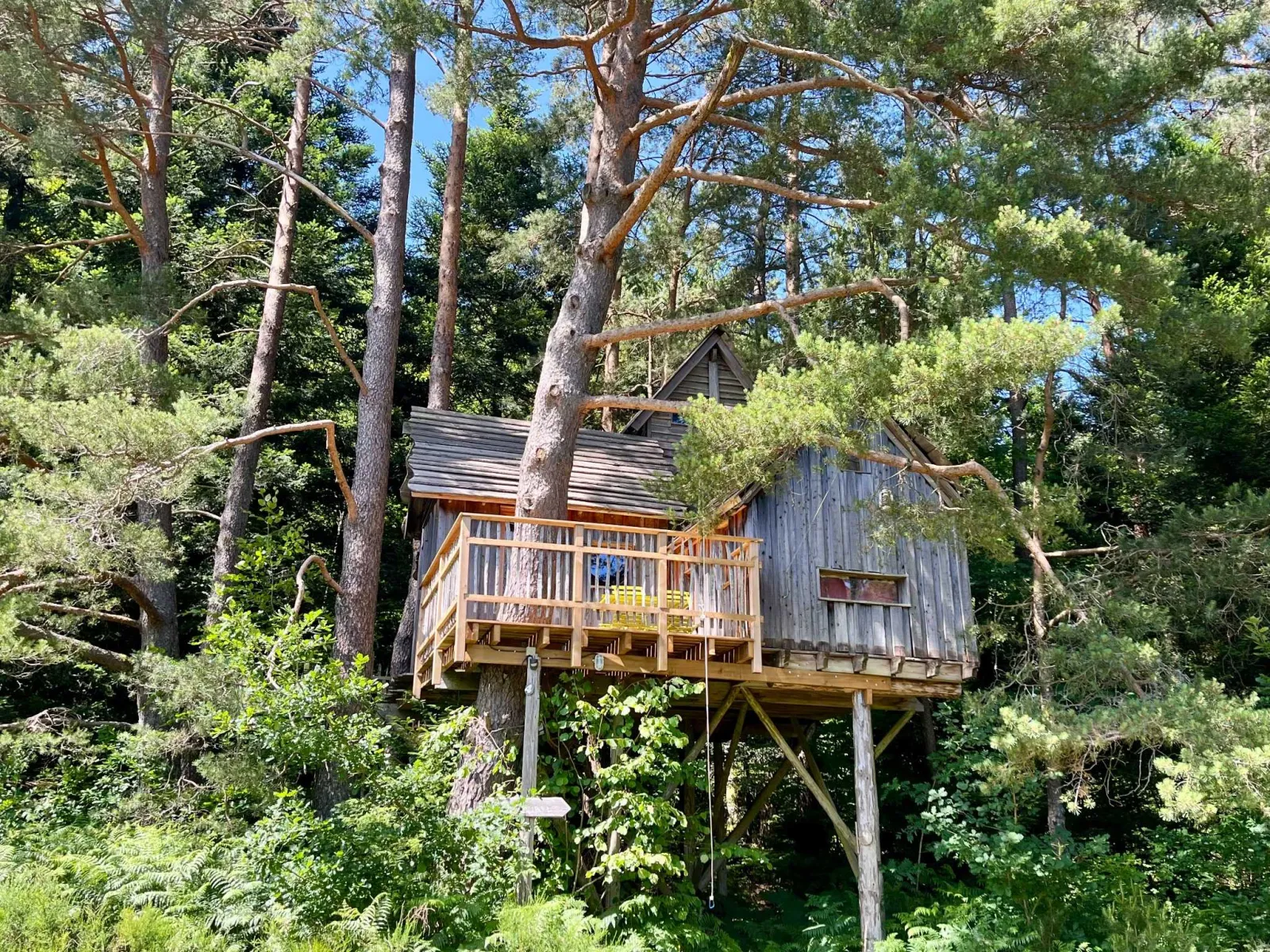 Cabane Cosy Duo, cabane dans les arbres à Champdray