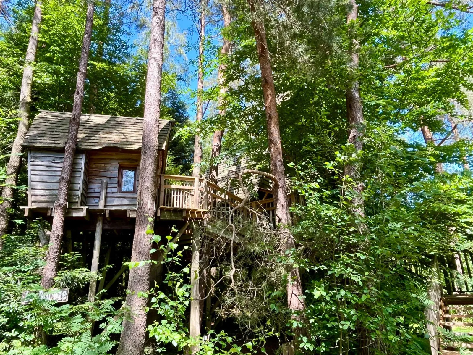 Cabane Cosy Famille, cabane dans les arbres à Champdray