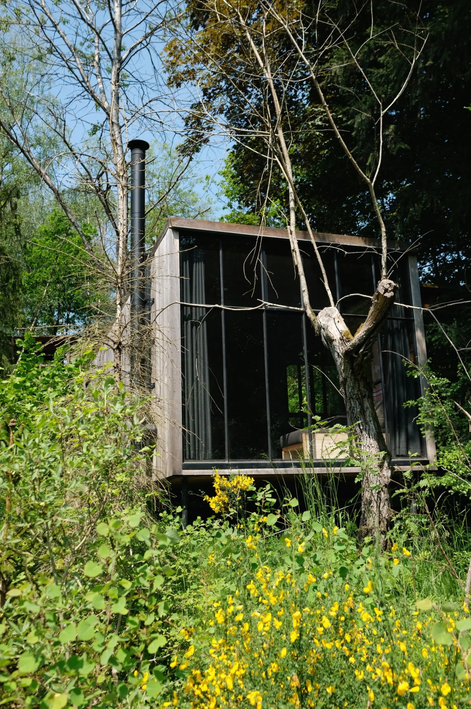 Cabane Cosy pour 4, cabane dans les arbres à Plaine