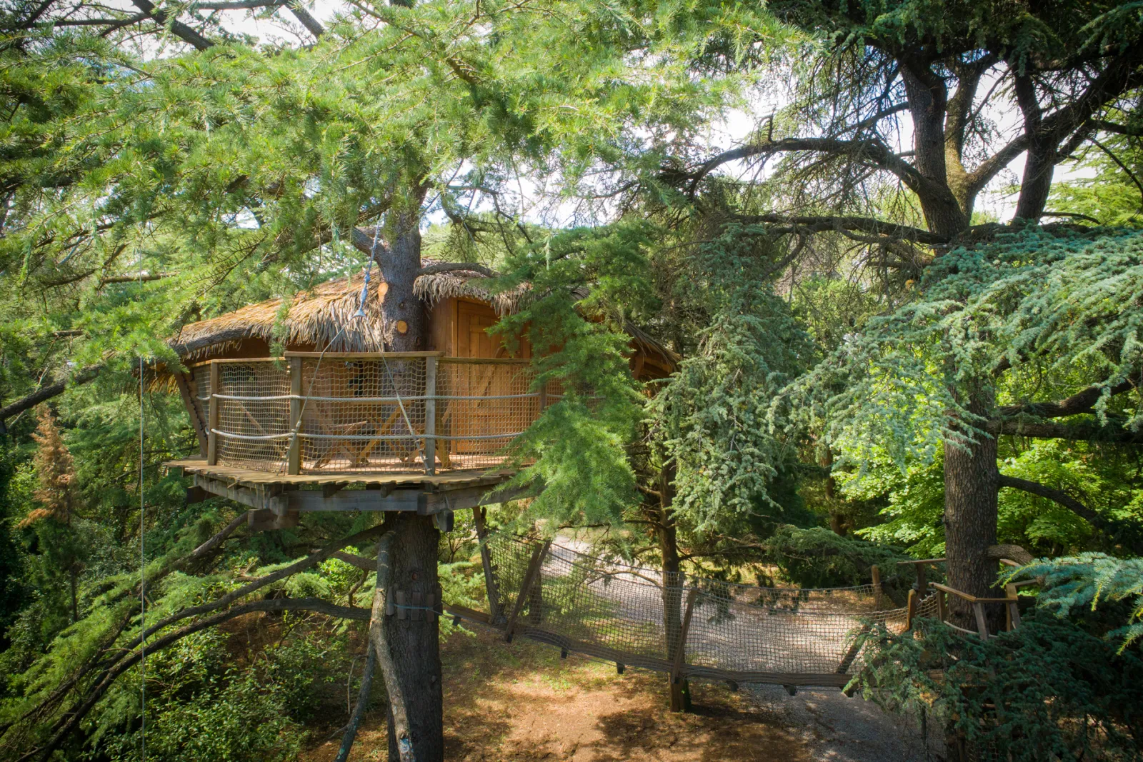 Cabane Crécerelle, cabane dans les arbres à Castries