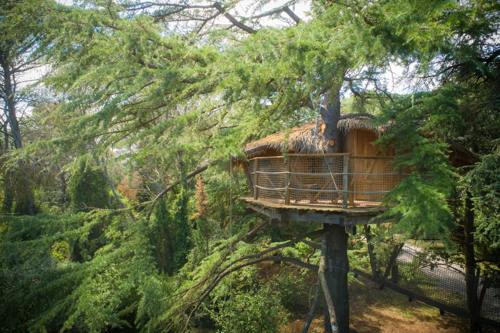 Cabane Crécerelle à Castries, photo 2