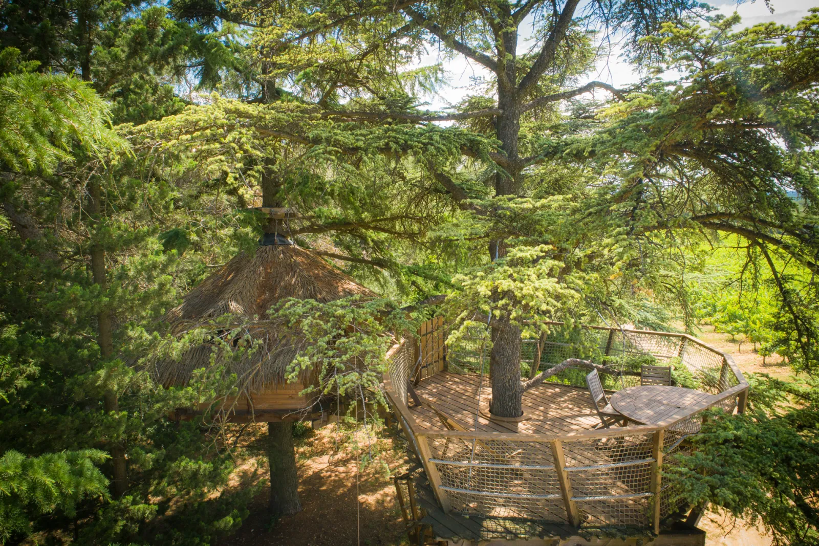 Cabane Crécerelle à Castries, photo 5