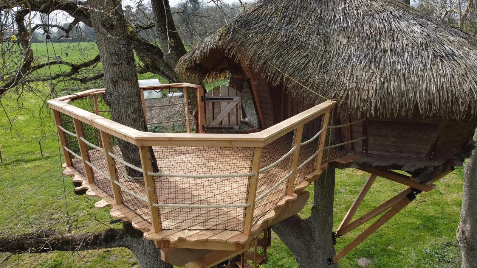Cabane Dam'oiseaux, cabane dans les arbres à Saint-Aubin-des-Préaux