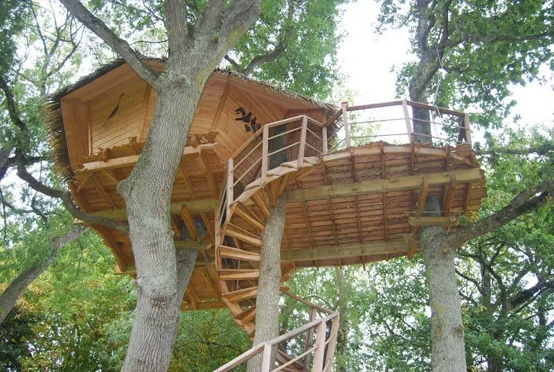 Cabane Dam'oiseaux à Saint-Aubin-des-Préaux, photo 2