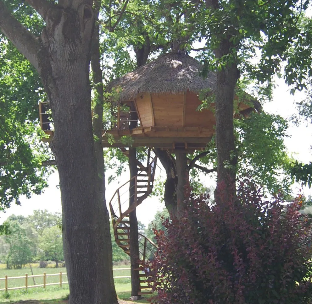 Cabane Dam'oiseaux à Saint-Aubin-des-Préaux, photo 4