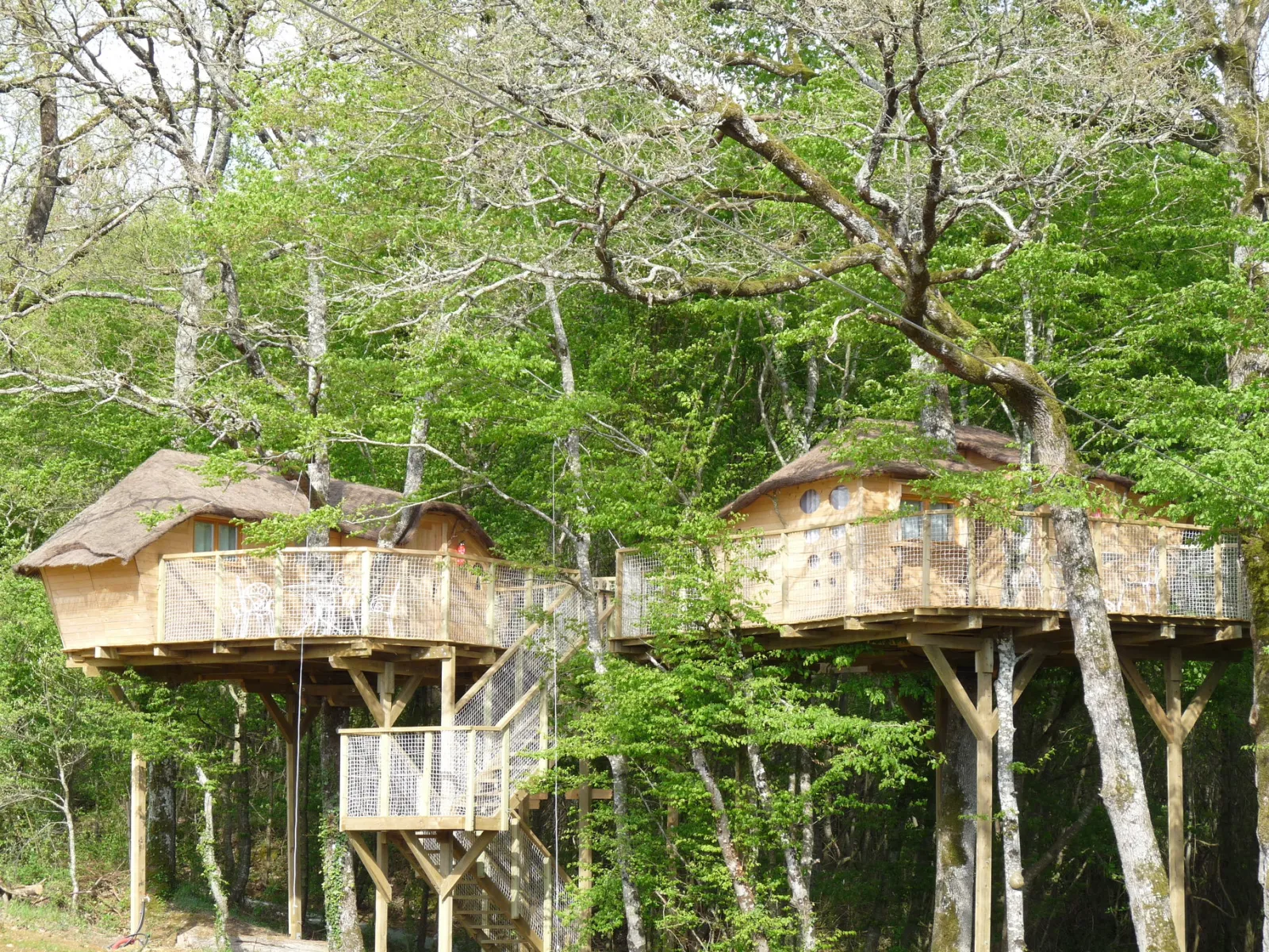 Cabane dans les Arbres, cabane dans les arbres à Dienné