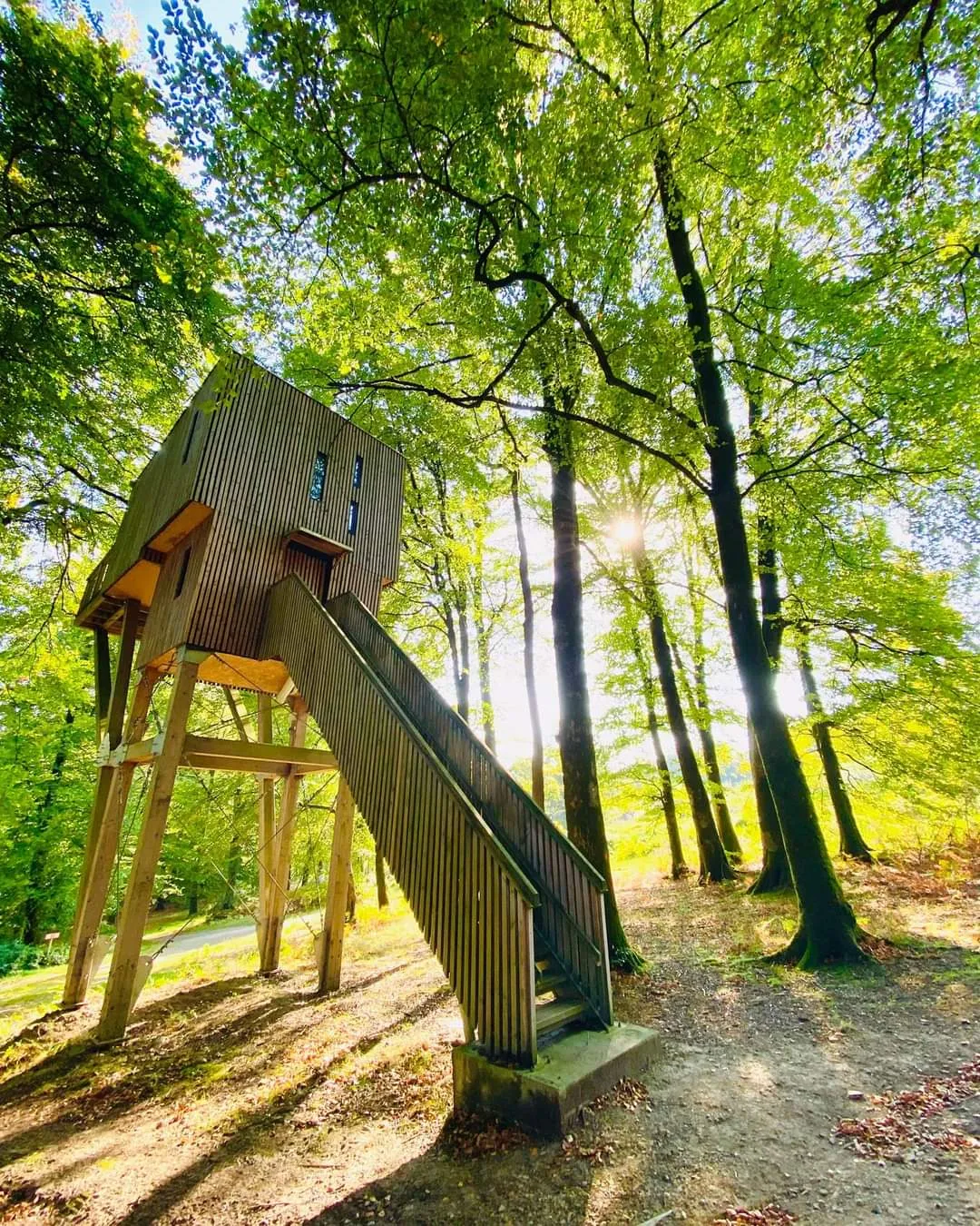 Cabane dans les arbres n°1, cabane dans les arbres à Noues de Sienne
