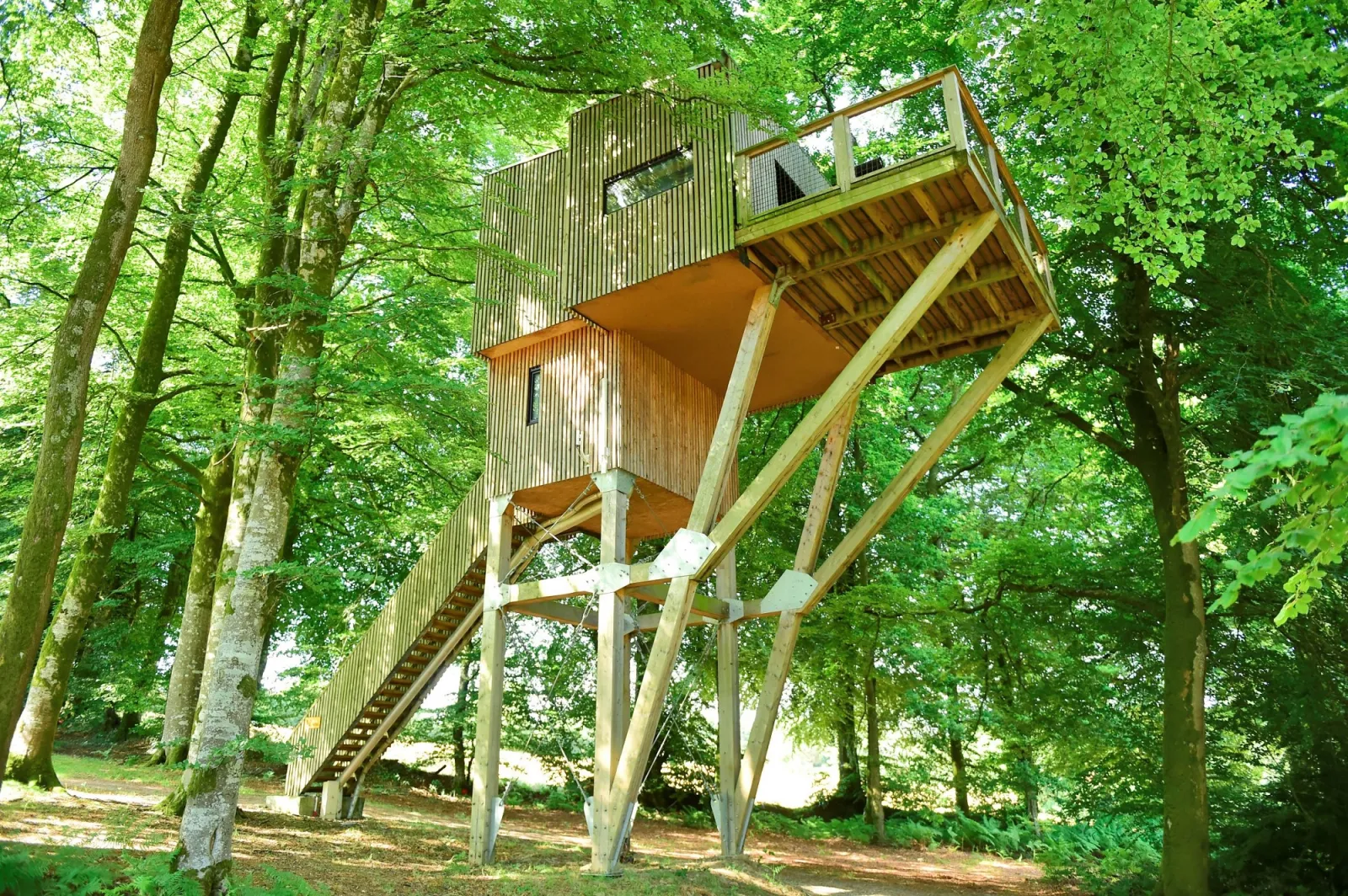 Cabane dans les arbres n°1 à Noues de Sienne, photo 2