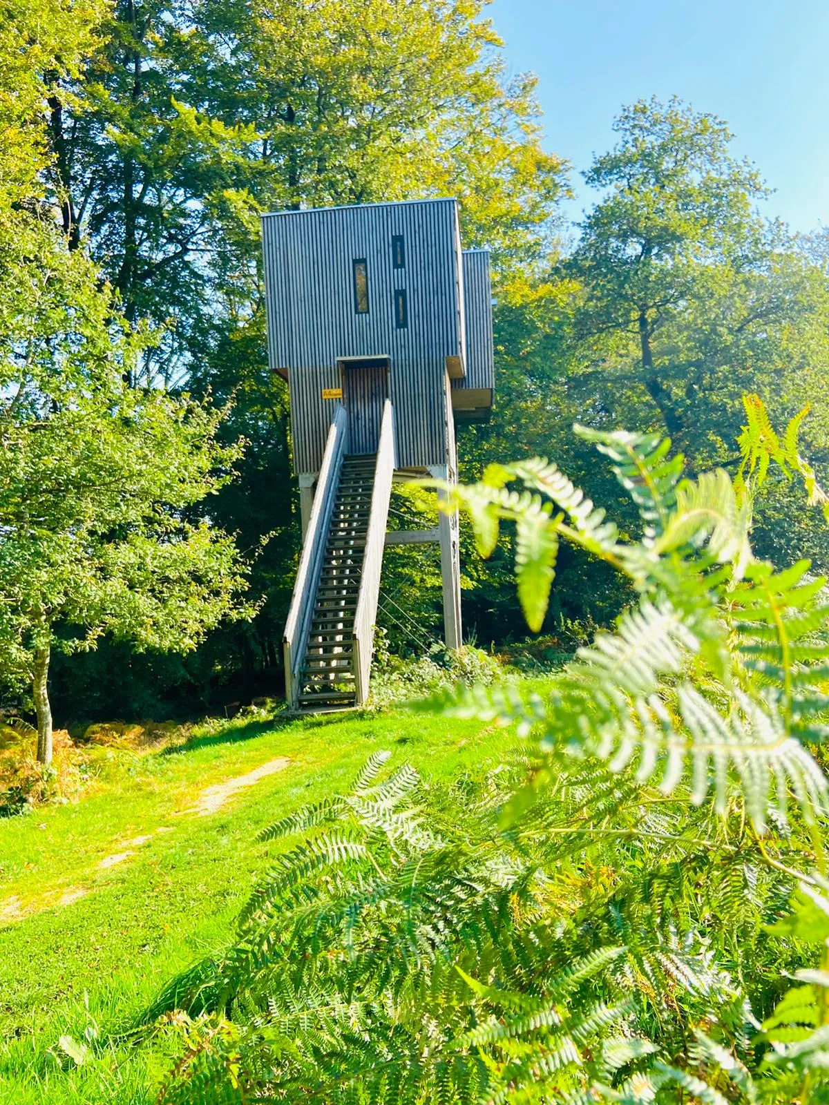 Cabane dans les arbres n°1 à Noues de Sienne, photo 3