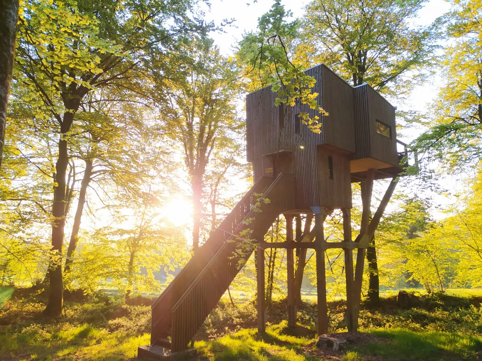 Cabane dans les arbres n°1 à Noues de Sienne, photo 4