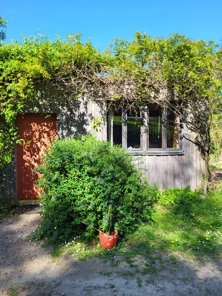 Cabane dans les bois à Marzan, photo 3