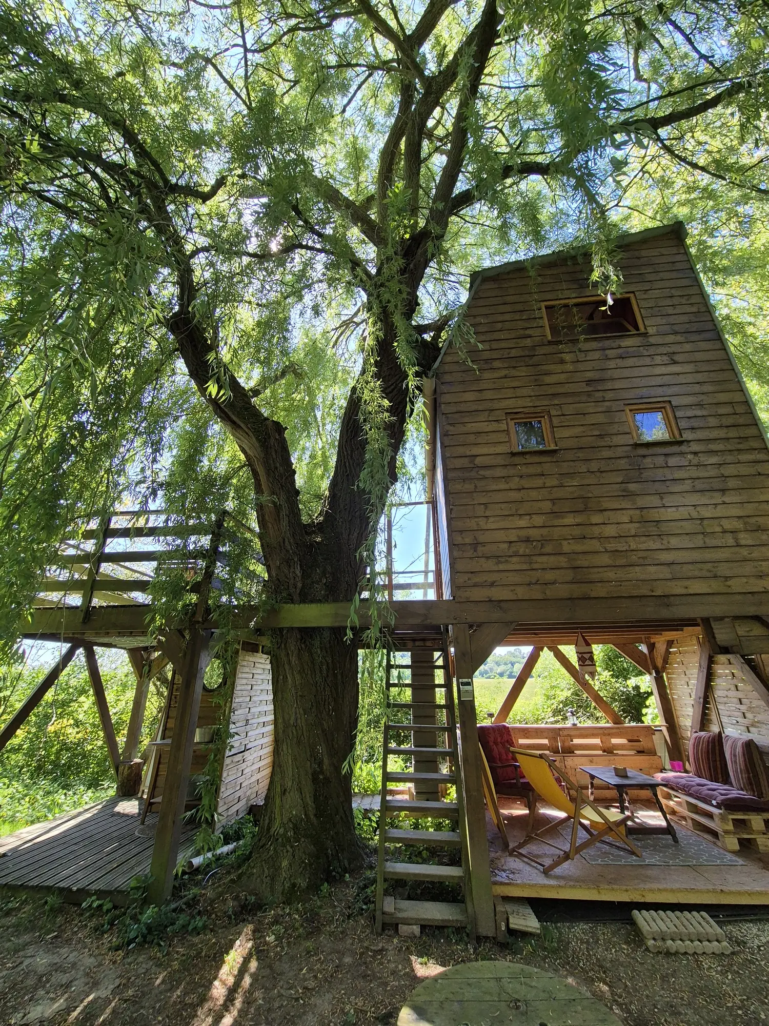Dans un arbre perché, cabane dans les arbres à Vadencourt