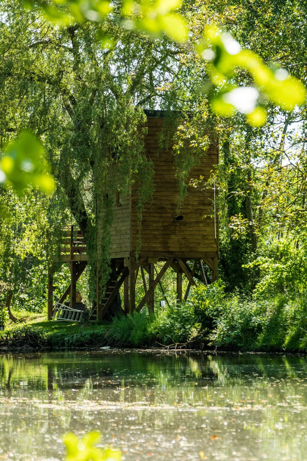 Dans un arbre perché à Vadencourt, photo 5