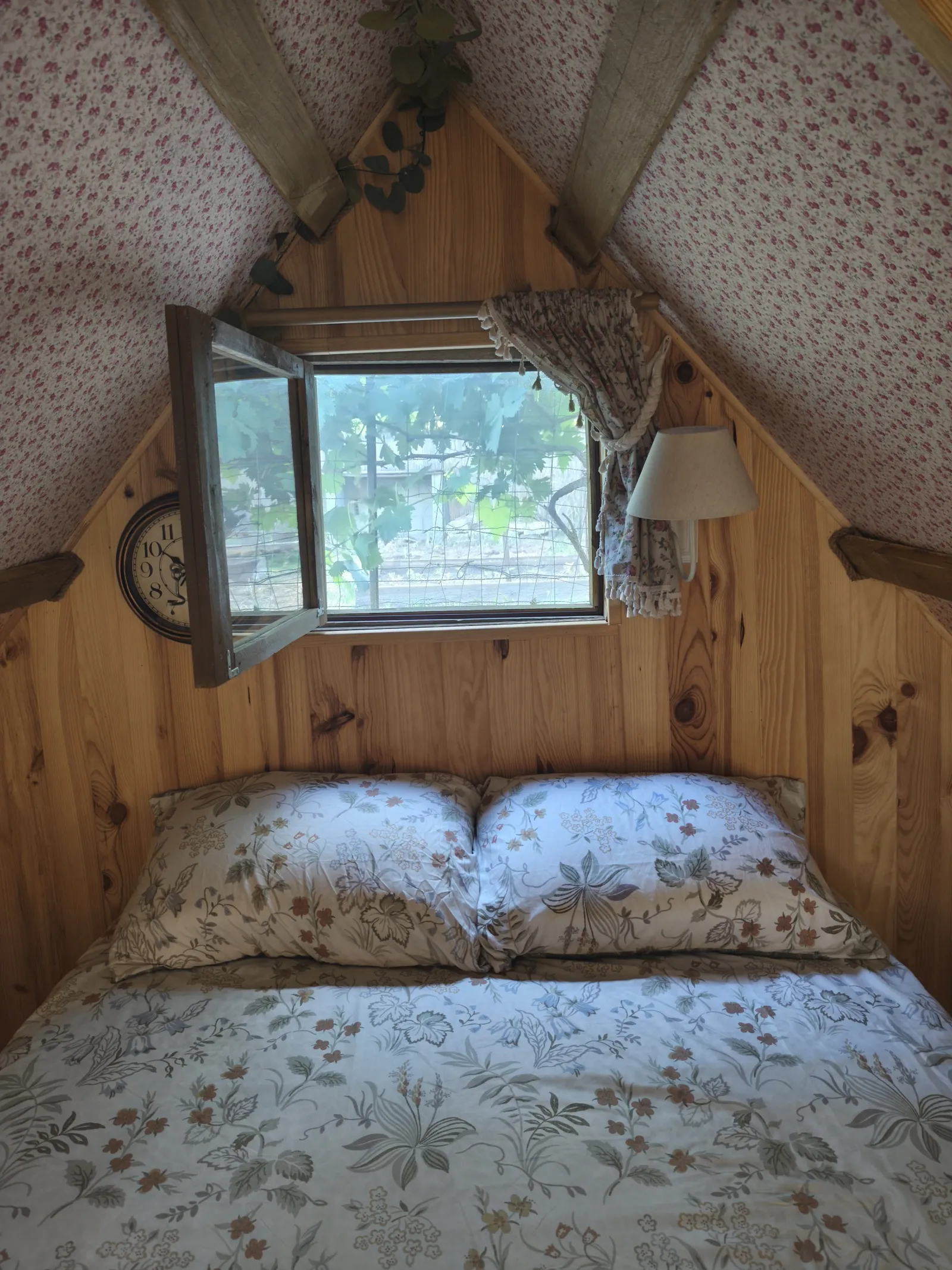 Cabane de Casa Ciocciu à Alata, photo 3