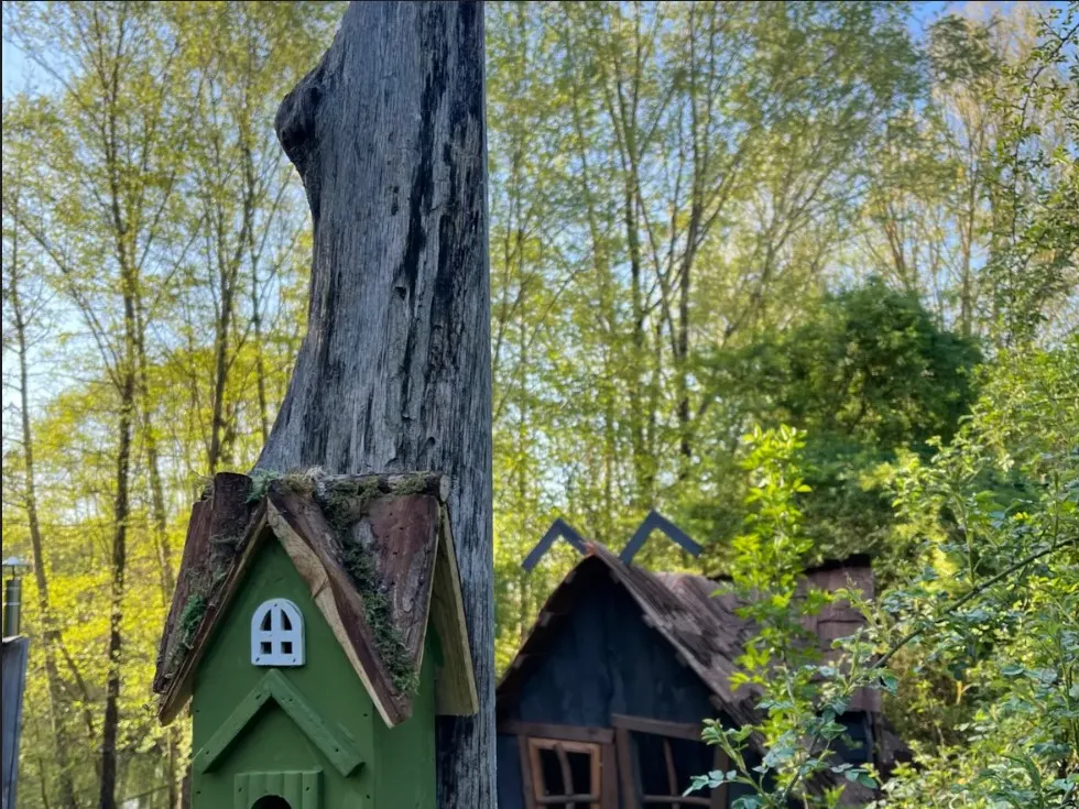 Cabane de contes de fées à Viévy, photo 5