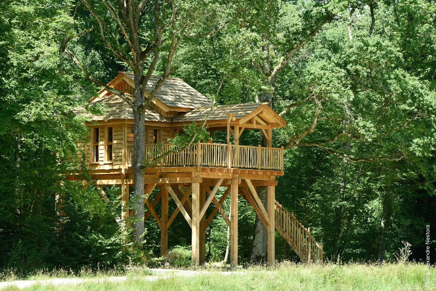 Cabane de l'Étang, cabane dans les arbres à La Bussière