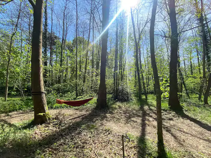 Cabane de l'Ours à Sillé-le-Philippe, photo 4