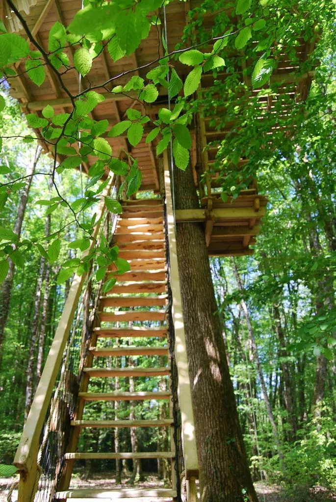Cabane de la Belle à Magné, photo 3