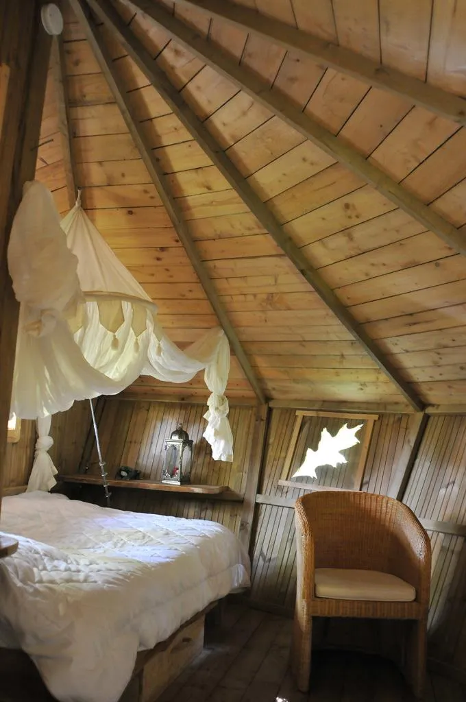 Cabane de la Canopée à Magné, photo 2