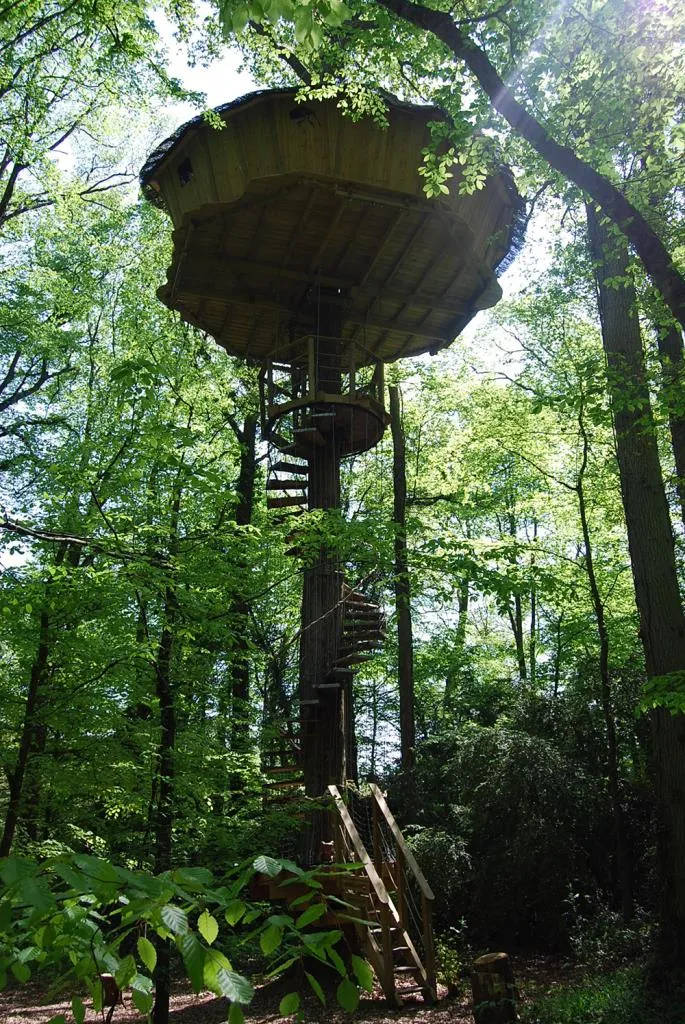 Cabane de la Canopée à Magné, photo 4