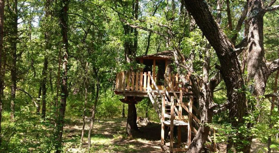 Cabane de Manon, cabane dans les arbres à Beynes