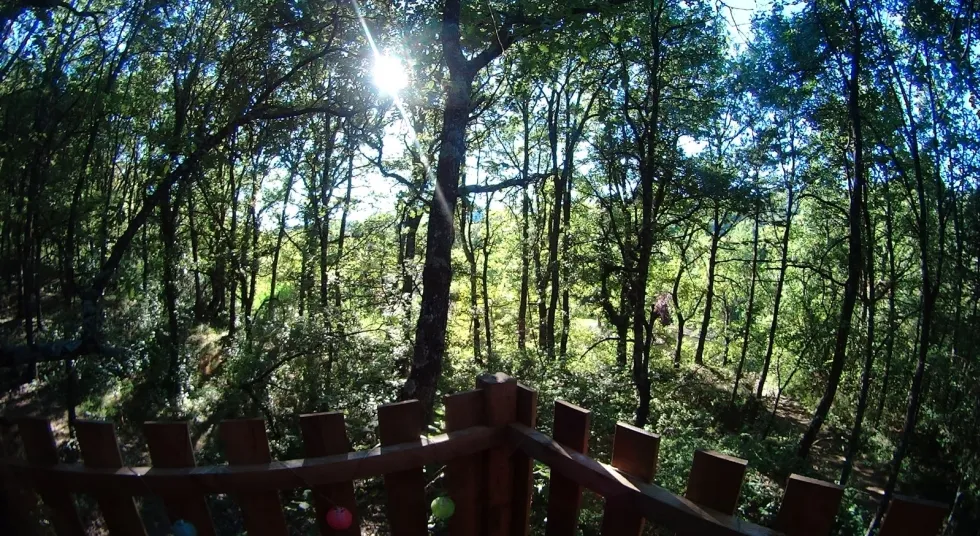 Cabane de Manon à Beynes, photo 2