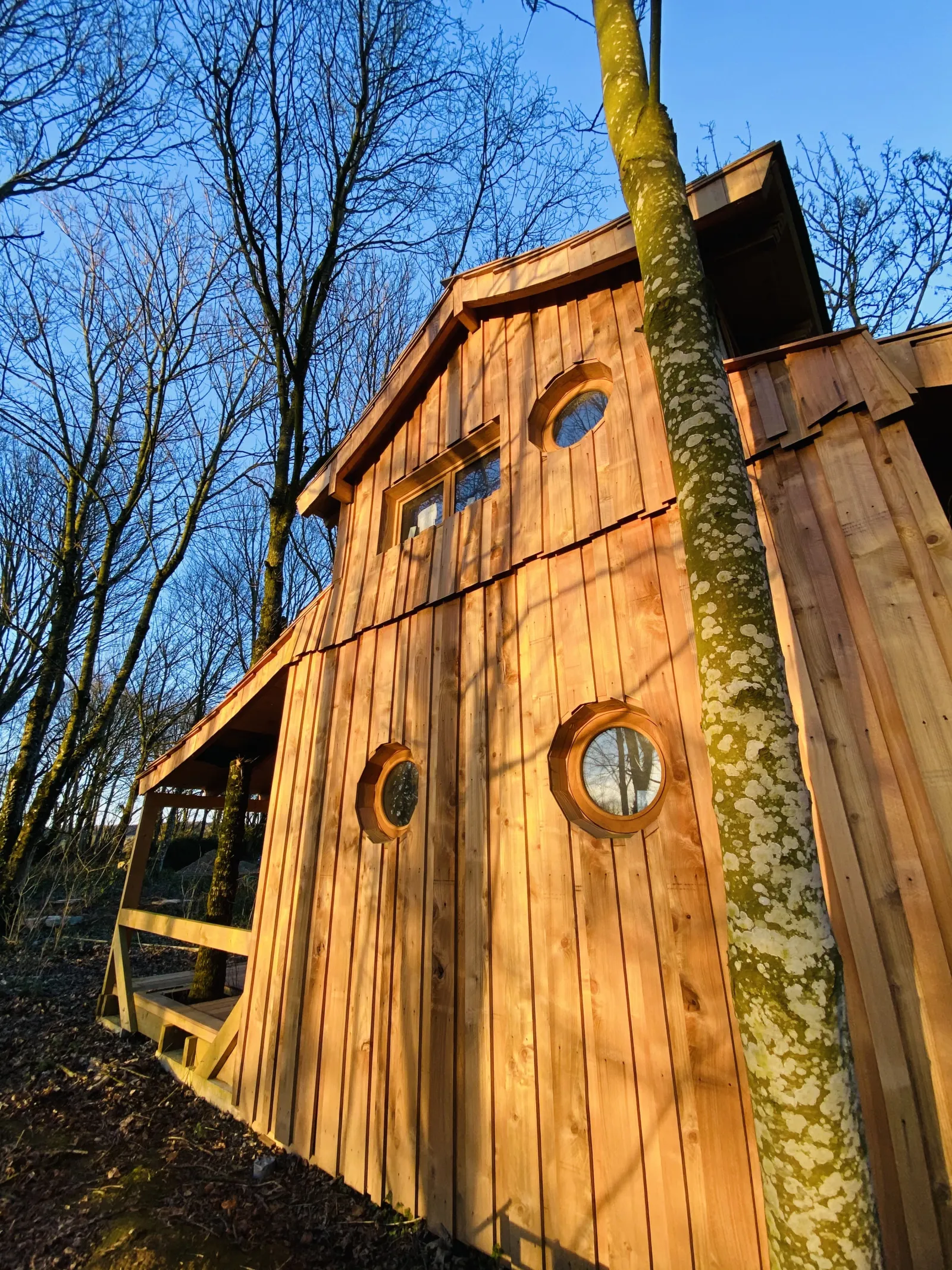 Cabane de Merlin à Guerlédan, photo 4
