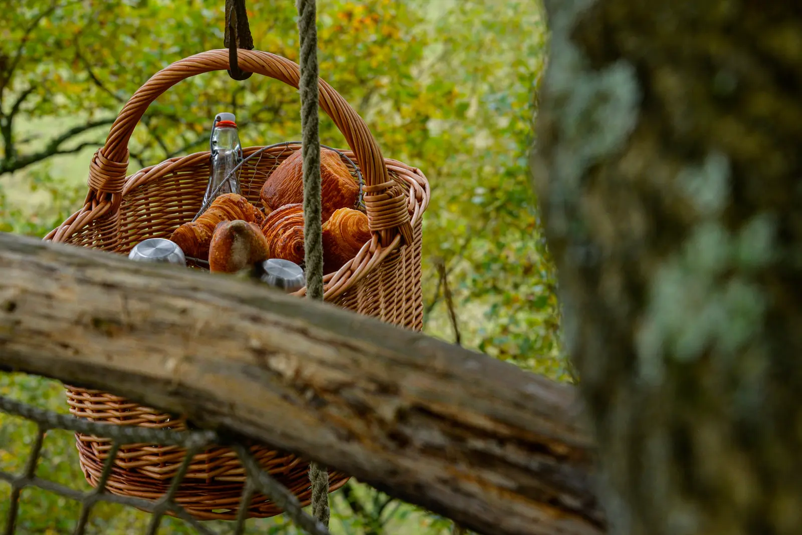 Cabane de Mon Arbre Perché à Eauze, photo 4
