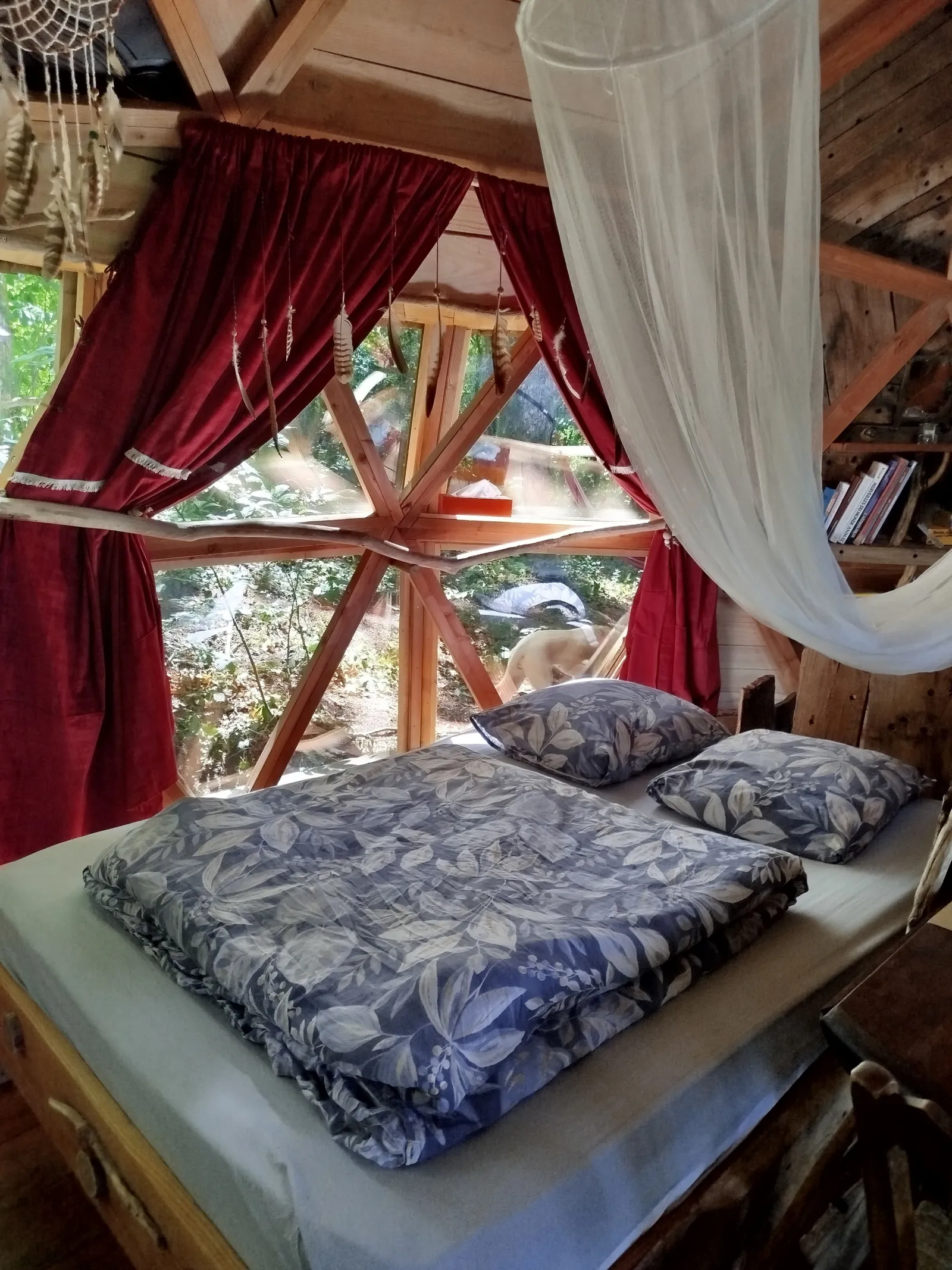 Cabane de Séléné à Sexcles, photo 3