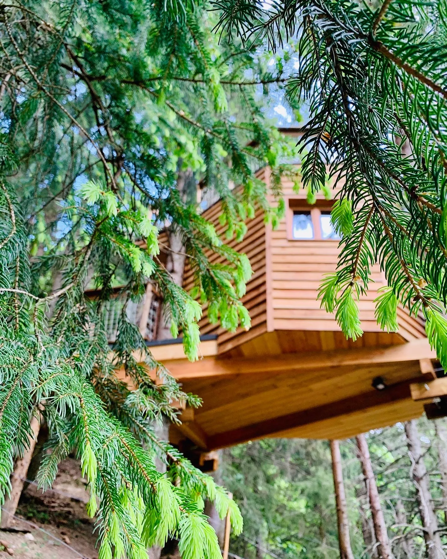 Cabane de Valmo'Insolite, cabane dans les arbres à Les Avanchers-Valmorel