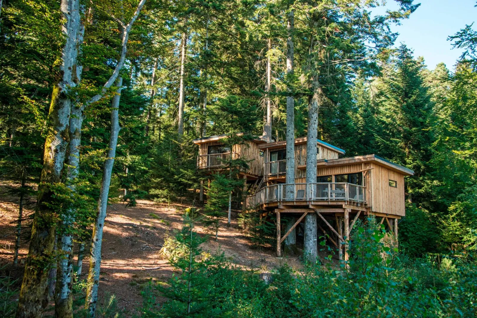 Cabane Deluxe Duo, cabane dans les arbres à Champdray