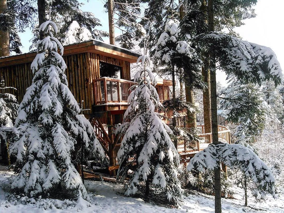 Cabane Deluxe Famille à Champdray, photo 4